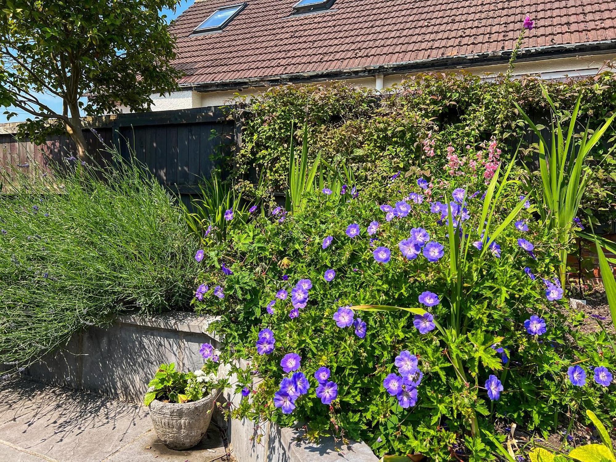קארדיף Cwtch Cottage מראה חיצוני תמונה